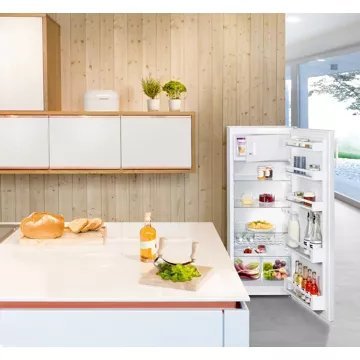 Réfrigérateur 1 porte LIEBHERR KPe290-26 – Image 9