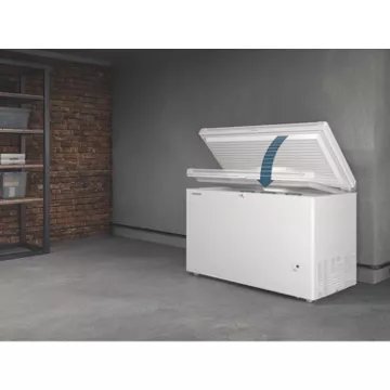 Congélateur coffre LIEBHERR CFD2505-26 – Image 13