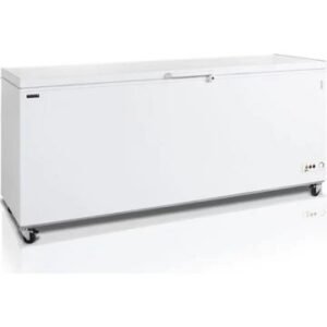 Congélateur pro TEFCOLD 16162