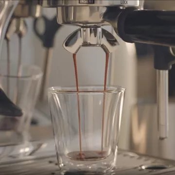 Machine à expresso SAGE APPLIANCES impress – Image 8