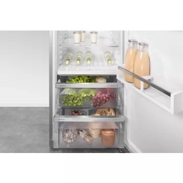 Réfrigérateur 1 porte LIEBHERR RBSFE5221-20 – Image 5